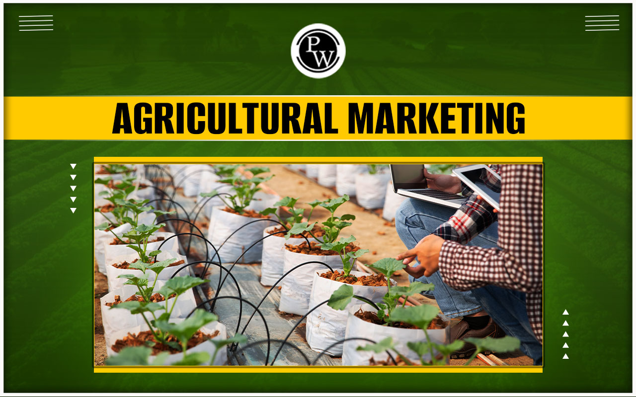 Agricultural Marketing SPSR Nellore